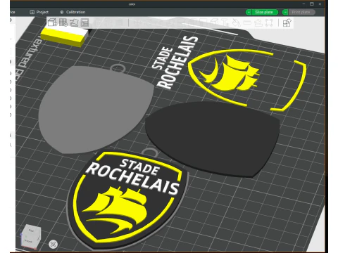 Top 14 Stade Rochelais Keychain Badge Color Printable 3D Print Model
