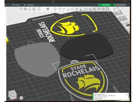 Top 14 Stade Rochelais Keychain Badge Color Printable 3D 打印模型