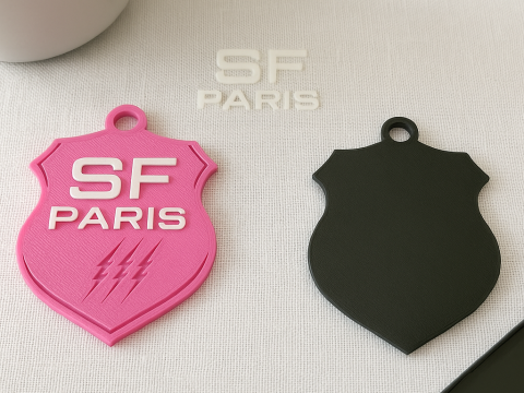 Top 14 Stade francais keychain badge color printable and renderable 3D 打印模型