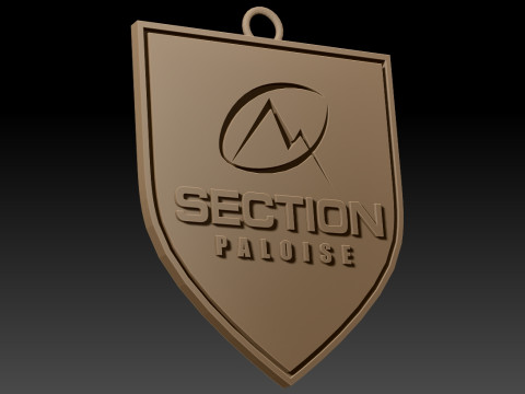 Top 14 Section Paloise keychain badge color printable and renderable 3D Принт Модель