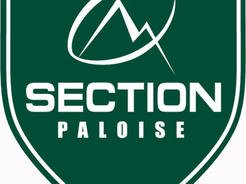 Top 14 Section Paloise keychain badge color printable and renderable 3D Print Model