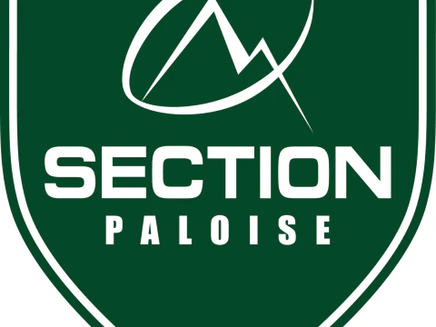 Top 14 Section Paloise keychain badge color printable and renderable 3D Print Model