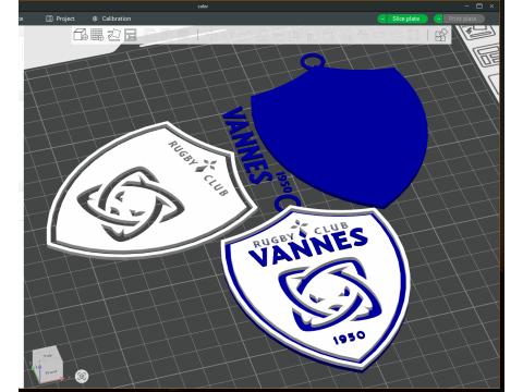 Top 14 RC Vannes keychain badge color printable and renderable 3D 打印模型