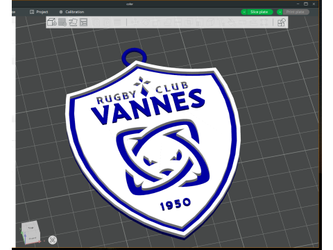 Top 14 RC Vannes keychain badge color printable and renderable 3D 打印模型