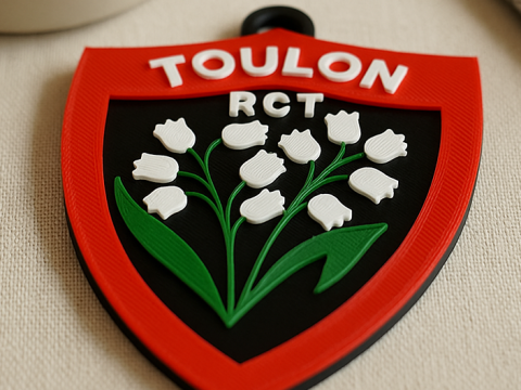 Top 14 RC Toulon keychain badge color printable and renderable Modello di stampa 3D