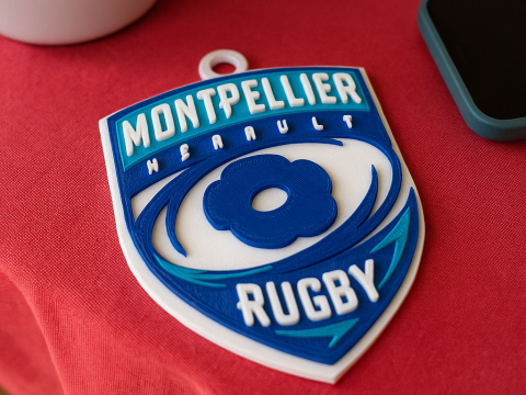 Top 14 Lyon Olympique keychain badge color printable and renderable Modello di stampa 3D
