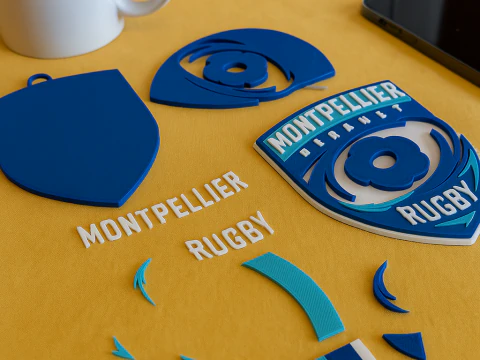 Top 14 Lyon Olympique keychain badge color printable and renderable 3D Print Model