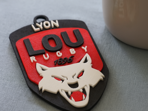 Top 14 Lyon Olympique keychain badge color printable and renderable Modello di stampa 3D