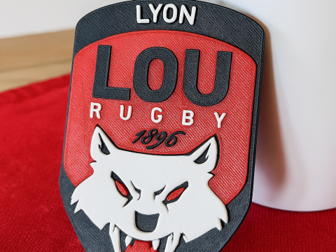 Top 14 Lyon Olympique keychain badge color printable and renderable Modello di stampa 3D