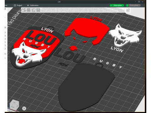 Top 14 Lyon Olympique keychain badge color printable and renderable Modello di stampa 3D