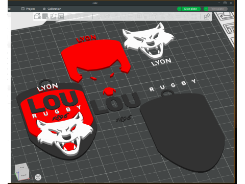 Top 14 Lyon Olympique keychain badge color printable and renderable Modello di stampa 3D