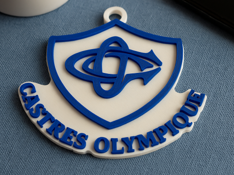 Top 14 Castres Olympique keychain badge color printable and renderable 3D 打印模型