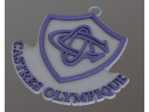 Top 14 Castres Olympique keychain badge color printable and renderable Modello di stampa 3D
