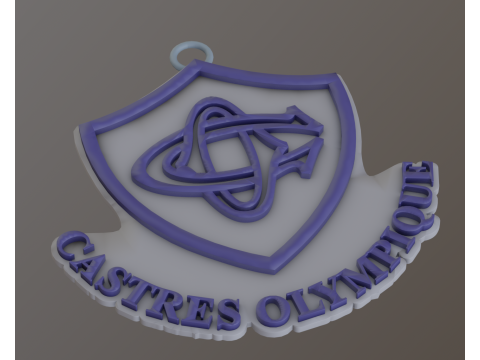 Top 14 Castres Olympique keychain badge color printable and renderable Modello di stampa 3D