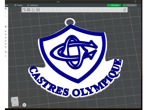 Top 14 Castres Olympique keychain badge color printable and renderable Modello di stampa 3D