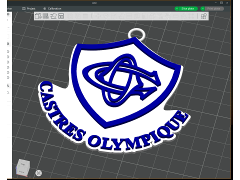 Top 14 Castres Olympique keychain badge color printable and renderable Modello di stampa 3D