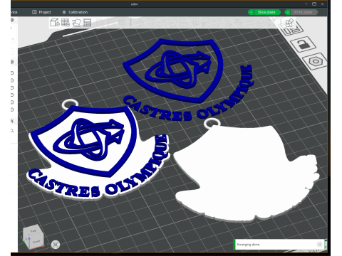 Top 14 Castres Olympique keychain badge color printable and renderable Modello di stampa 3D