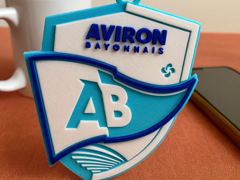 Top 14 Aviron Bayonnais keychain badge color printable and renderable 3D Print Model
