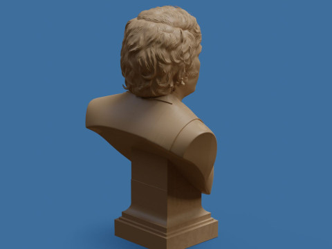 Javier Milei buste afdrukbaar en renderbaar 3D printmodel