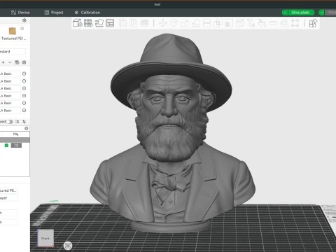 Walt Whitman printable bust 3D Print Model