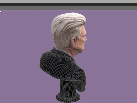 DAVID LYNCH renderable bust 3D Model