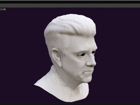 DAVID LYNCH renderable bust 3D Model