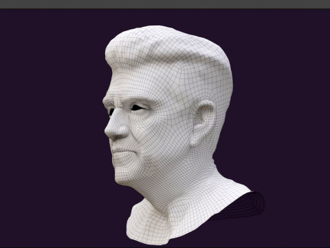 DAVID LYNCH renderable bust 3D Model