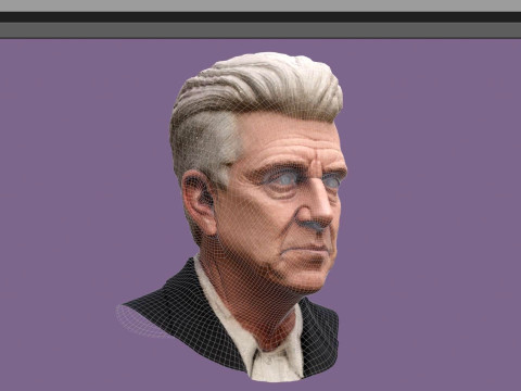 DAVID LYNCH renderable bust 3D Model