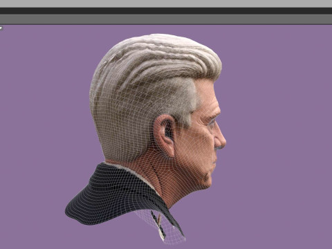 DAVID LYNCH renderable bust 3D Model