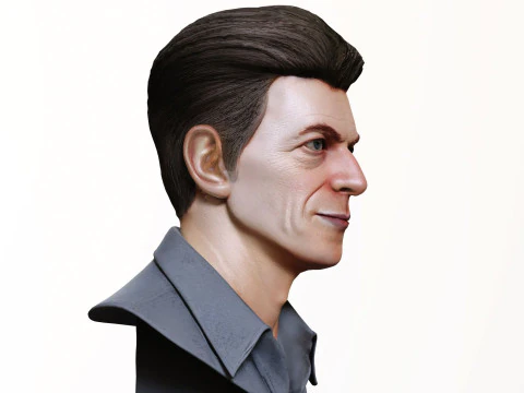 DAVID BOWIE 2000s renderable bust 3D Model