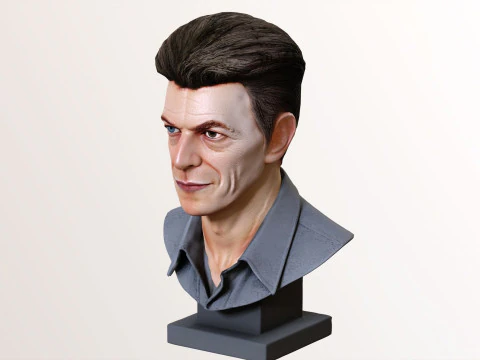 DAVID BOWIE 2000s renderable bust 3D Model