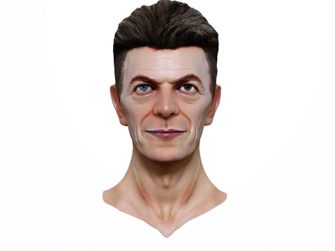 DAVID BOWIE 2000s renderable bust 3D Model