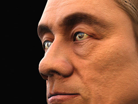 Takeshi Kitano renderable bust 3D Model