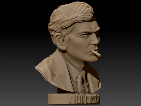 JULIO CORTAZAR Printable bust 3D Print Model