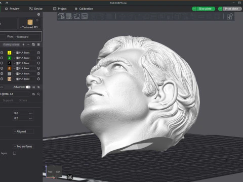 JULIO CORTAZAR Printable bust 3D Print Model