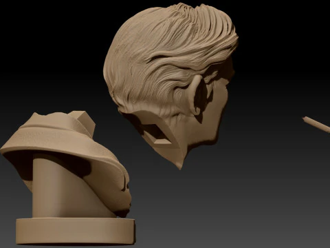 JULIO CORTAZAR Printable bust 3D Print Model