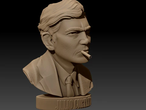 JULIO CORTAZAR Printable bust 3D Print Model