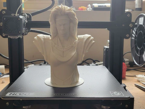 Tina Turner as Aunty Entity Printable 3D Print Model