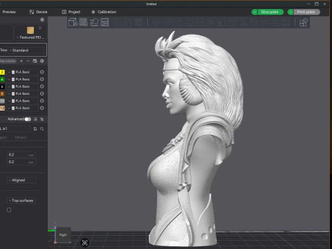 Tina Turner as Aunty Entity Printable 3D Print Model