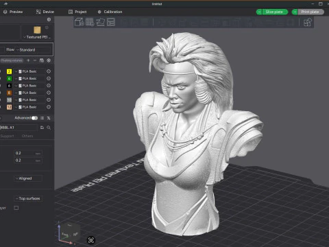 Tina Turner as Aunty Entity Printable 3D Print Model