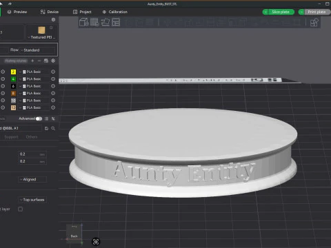Tina Turner as Aunty Entity Printable 3D Print Model