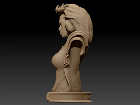 Tina Turner as Aunty Entity Printable 3D Print Model