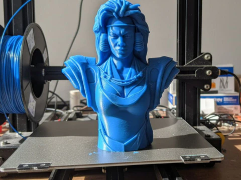 Tina Turner as Aunty Entity Printable 3D Print Model
