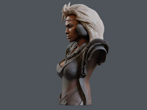 Tina Turner as Aunty Entity Printable 3D Print Model