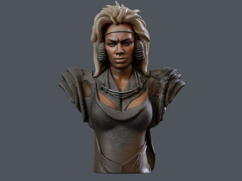 Tina Turner as Aunty Entity Printable 3D Print Model