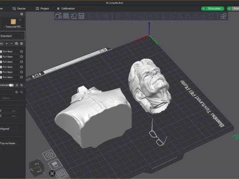 Stephen King Bust 3D Printable Model 3D Print Model