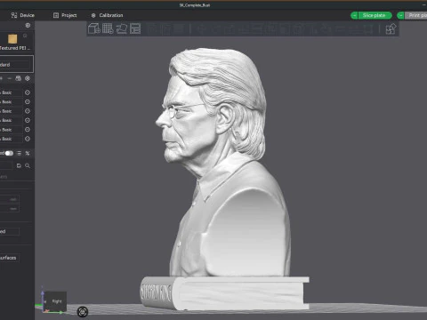 Stephen King Bust 3D Printable Model 3D Print Model