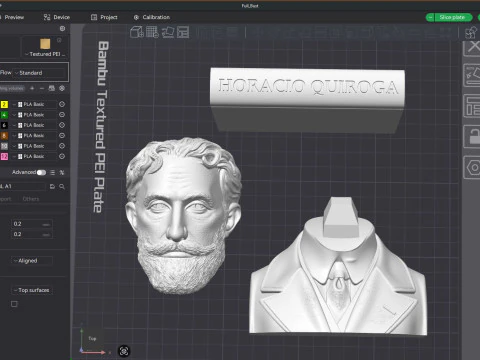 HORACIO QUIROGA bust 3D Printable Model 3D Print Model