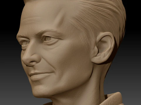 TILDA SWINTON 3D Printable Model 3D Print Model