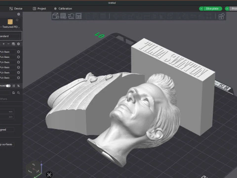 TILDA SWINTON 3D Printable Model 3D Print Model